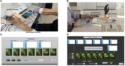 Hierarchical strategy for sEMG classification of the hand/wrist gestures and forces of transradial amputees